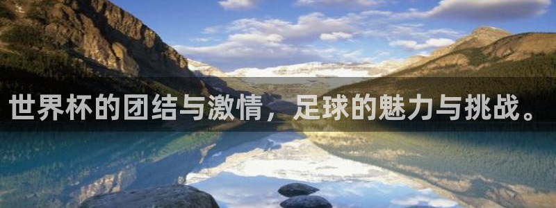 亚洲杯足球：世界杯的团结与激情，足球的魅力与挑战。