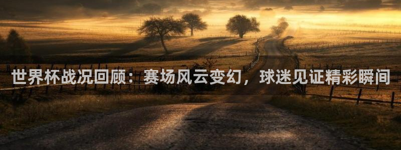 世界杯足球直播：世界杯战况回顾：赛场风云变幻，球迷见证精彩瞬间