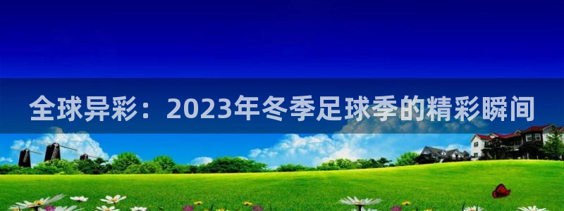 世界杯今年：全球异彩：2023年冬季足球季的精彩瞬间