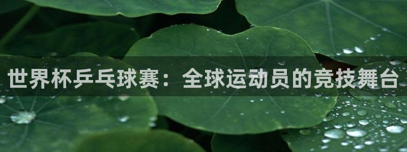 世预赛欧洲赛程表：世界杯乒乓球赛：全球运动员的竞技舞台