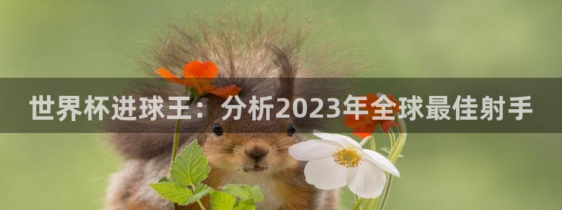 2006世界杯：世界杯进球王：分析2023年全球最佳射手