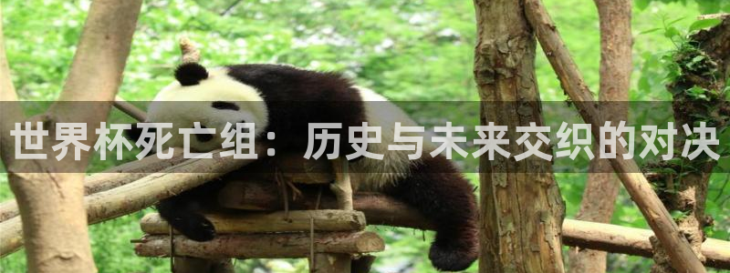 世界杯预选赛直播：世界杯死亡组：历史与未来交织的对决