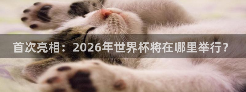 2026世界杯赛：首次亮相：2026年世界杯将在哪里举行？