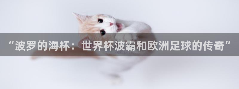 世界杯直播网站：“波罗的海杯：世界杯波霸和欧洲足球的传奇”