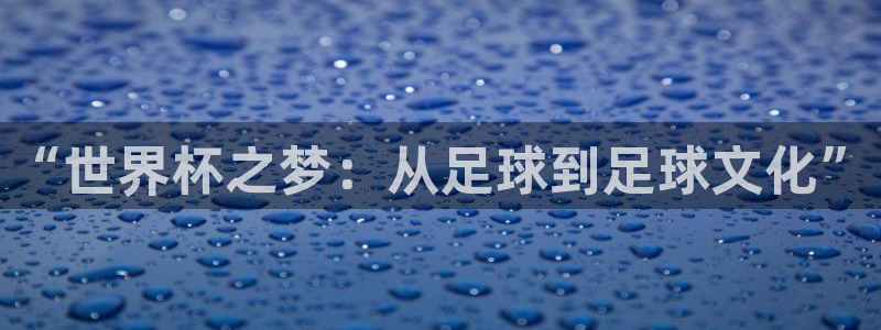 世界杯欧洲预选赛赛程：“世界杯之梦：从足球到足球文化”
