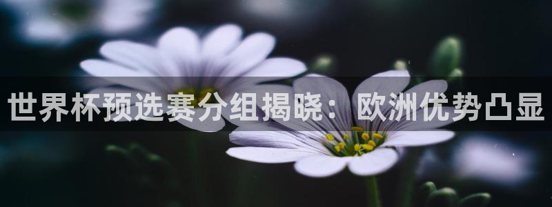 美洲杯直播：世界杯预选赛分组揭晓：欧洲优势凸显