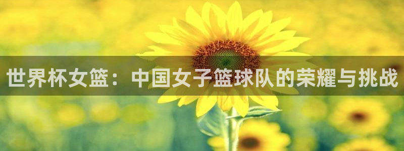 2026年世界杯对阵图：世界杯女篮：中国女子篮球队的荣耀与挑战