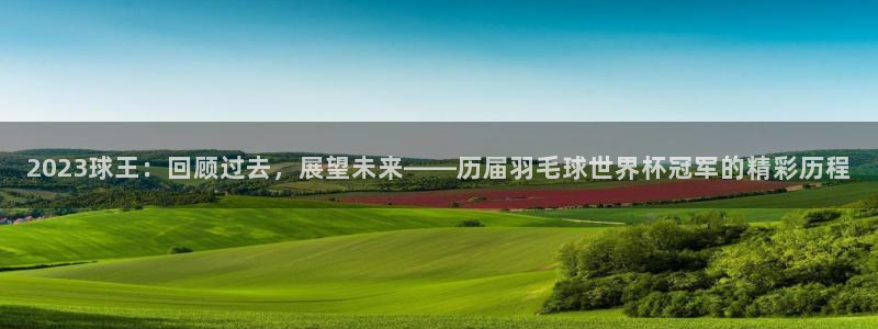 2026世界杯直播：2023球王：回顾过去，展望未来——历届羽毛球世界杯冠军的精彩历程