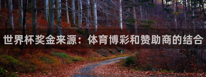 世界杯亚洲区预选赛积分榜：世界杯奖金来源：体育博彩和赞助商的结合