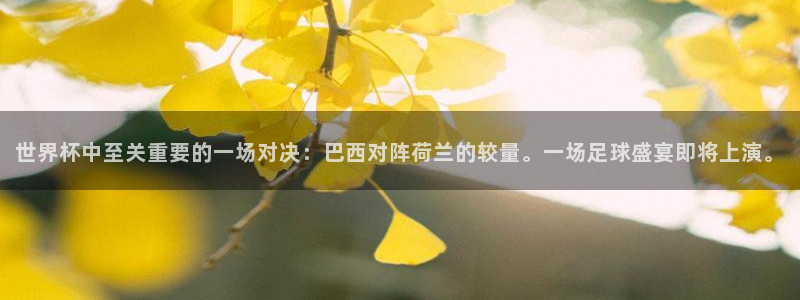 世界杯：世界杯中至关重要的一场对决：巴西对阵荷兰的较量。一场足球盛宴即将上演。