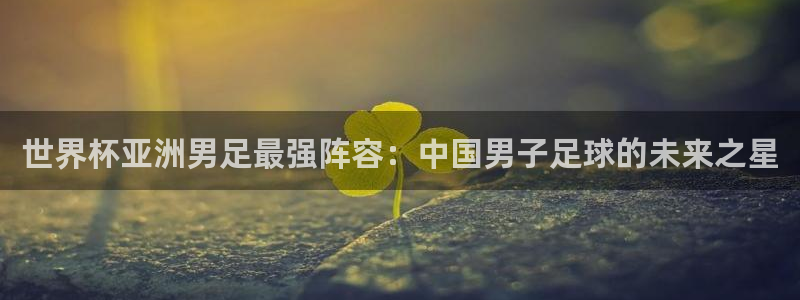 2026世界杯：世界杯亚洲男足最强阵容：中国男子足球的未来之星