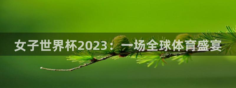 世界杯今日赛程直播：女子世界杯2023：一场全球体育盛宴