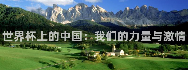 欧洲区世界杯预选赛：世界杯上的中国：我们的力量与激情