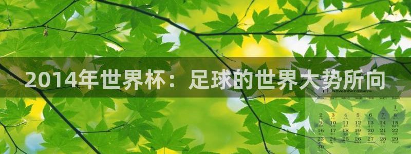 世界杯亚洲区预选赛赛程：2014年世界杯：足球的世界大势所向