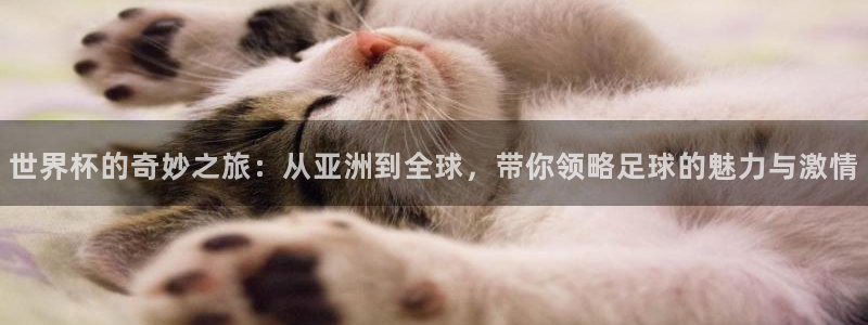 2026年足球世界杯赛程时间表：世界杯的奇妙之旅：从亚洲到全球，带你领略足球的魅力与激情