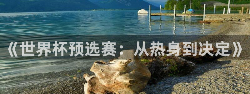 世界杯2026预选赛：《世界杯预选赛：从热身到决定》