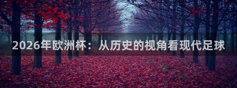 世界杯预选赛：2026年欧洲杯：从历史的视角看现代足球