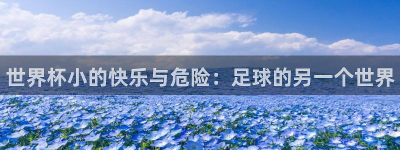 2026世界杯赛程：世界杯小的快乐与危险：足球的另一个世界